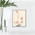 Picture of Magnolia Decadence I _GroupedProduct_Rectangle_Portrait_Canvas_Framed_