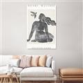 Picture of Seated Nude Woman _GroupedProduct_Rectangle_Portrait_Unframed_Print_Only_
