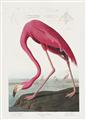 Picture of Vintage Pink Flamingo _GroupedProduct_Rectangle_Portrait_Unframed_Print_Only_