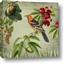 Picture of Tangerine Vintage Bird