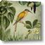 Picture of Yellow Nostalgic Tropical Birds