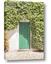 Picture of Green Door with Lush Leaves