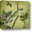 Picture of Vintage Tropical Birds I