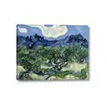 Picture of Vincent Van Gogh's Olive Trees With the Alpilles (1889) _GroupedProduct_Rectangle_Landscape_Canvas_