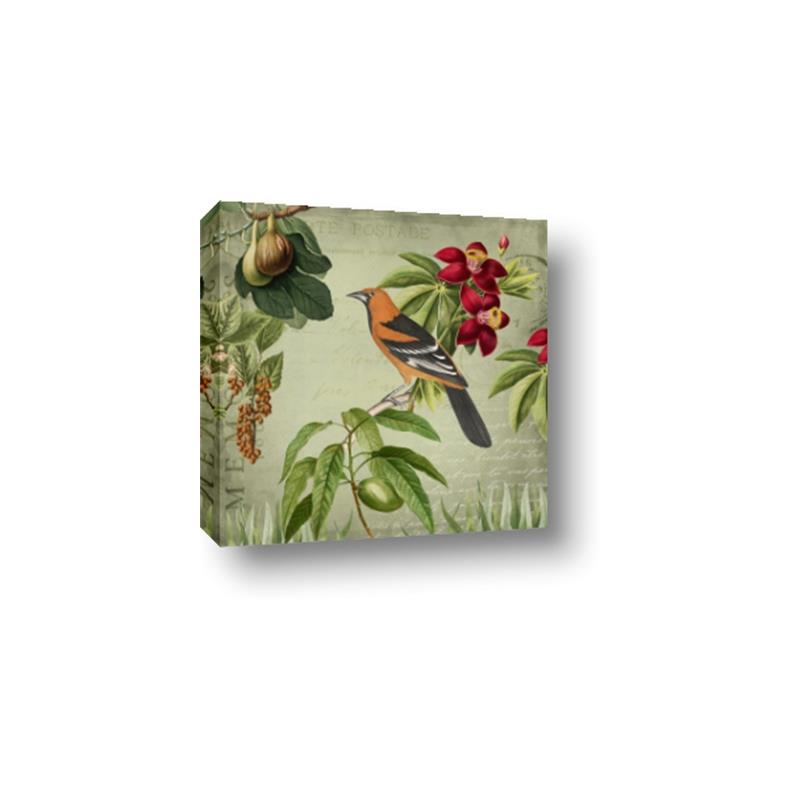 Picture of Tangerine Vintage Bird _GroupedProduct_Square_Canvas_