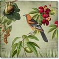 Picture of Tangerine Vintage Bird _GroupedProduct_Square_Canvas_