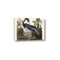 Picture of Vintage Heron Bird _GroupedProduct_Rectangle_Landscape_Canvas_