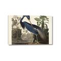 Picture of Vintage Heron Bird _GroupedProduct_Rectangle_Landscape_Canvas_