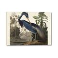 Picture of Vintage Heron Bird _GroupedProduct_Rectangle_Landscape_Canvas_