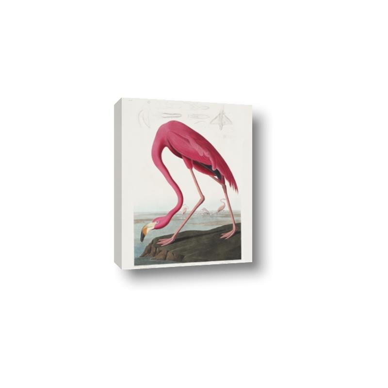 Picture of Vintage Pink Flamingo _GroupedProduct_Rectangle_Portrait_Canvas_