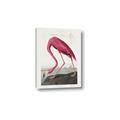 Picture of Vintage Pink Flamingo _GroupedProduct_Rectangle_Portrait_Canvas_
