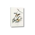Picture of Two Yellow Warbler Birds _GroupedProduct_Rectangle_Portrait_Canvas_