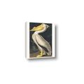 Picture of Vintage White Pelican _GroupedProduct_Rectangle_Portrait_Canvas_