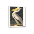 Picture of Vintage White Pelican _GroupedProduct_Rectangle_Portrait_Canvas_