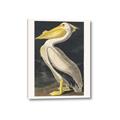 Picture of Vintage White Pelican _GroupedProduct_Rectangle_Portrait_Canvas_