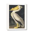 Picture of Vintage White Pelican _GroupedProduct_Rectangle_Portrait_Canvas_