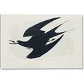 Picture of Vintage Black Sooty Tern _GroupedProduct_Rectangle_Landscape_Canvas_