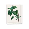Picture of Nostalgic Green Lilac Leaves _GroupedProduct_Rectangle_Portrait_Canvas_
