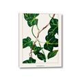 Picture of Nostalgic Green Murgrona Leaves _GroupedProduct_Rectangle_Portrait_Canvas_