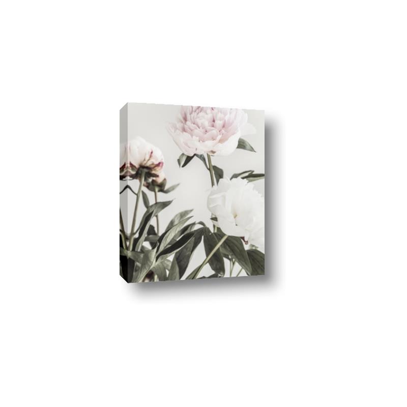 Picture of Romantic Blur Peony V _GroupedProduct_Rectangle_Portrait_Photography _GroupedProduct_Rectangle_Portrait_Canvas_
