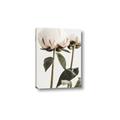 Picture of Romantic Blur Peony IV _GroupedProduct_Rectangle_Portrait_Photography _GroupedProduct_Rectangle_Portrait_Canvas_