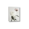 Picture of Romantic Blur Peony III _GroupedProduct_Rectangle_Portrait_Photography _GroupedProduct_Rectangle_Portrait_Canvas_