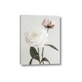 Picture of Romantic Blur Peony III _GroupedProduct_Rectangle_Portrait_Photography _GroupedProduct_Rectangle_Portrait_Canvas_