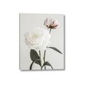 Picture of Romantic Blur Peony III _GroupedProduct_Rectangle_Portrait_Photography _GroupedProduct_Rectangle_Portrait_Canvas_