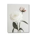 Picture of Romantic Blur Peony III _GroupedProduct_Rectangle_Portrait_Photography _GroupedProduct_Rectangle_Portrait_Canvas_