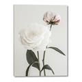 Picture of Romantic Blur Peony III _GroupedProduct_Rectangle_Portrait_Photography _GroupedProduct_Rectangle_Portrait_Canvas_