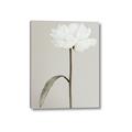 Picture of Romantic Blur Peony I _GroupedProduct_Rectangle_Portrait_Photography _GroupedProduct_Rectangle_Portrait_Canvas_