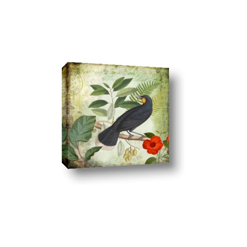 Picture of Tropical Paradise Birds Garden _GroupedProduct_Square_Canvas_