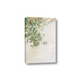 Picture of Few Olive Tree Leaves _GroupedProduct_Rectangle_Portrait_Photography _GroupedProduct_Rectangle_Portrait_Canvas_