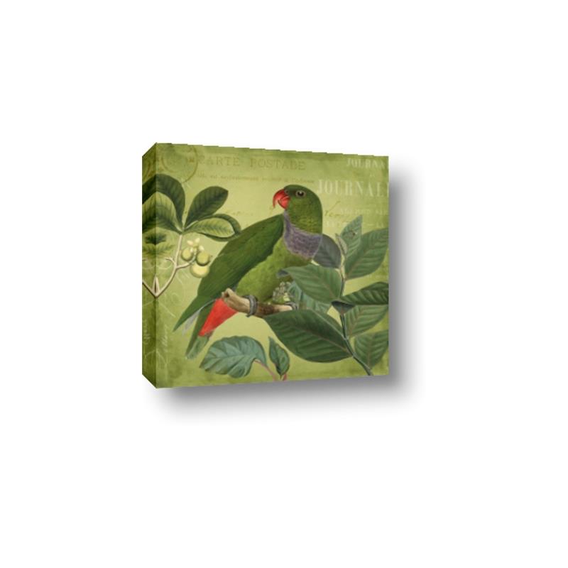 Picture of Vintage Tropical Birds II _GroupedProduct_Square_Canvas_
