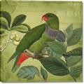 Picture of Vintage Tropical Birds II _GroupedProduct_Square_Canvas_