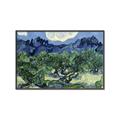 Picture of Vincent Van Gogh's Olive Trees With the Alpilles (1889) _GroupedProduct_Rectangle_Landscape_Canvas_Framed_