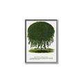 Picture of Kilmarnock Weeping Willow Tree Lithograph _GroupedProduct_Rectangle_Portrait_Canvas_Framed_