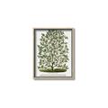 Picture of Hardy Magnolia Tree Lithograph _GroupedProduct_Rectangle_Portrait_Canvas_Framed_