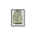 Picture of Hardy Magnolia Tree Lithograph _GroupedProduct_Rectangle_Portrait_Canvas_Framed_