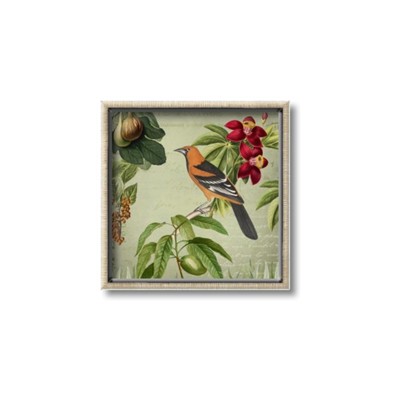 Picture of Tangerine Vintage Bird _GroupedProduct_Square_Canvas_Framed_