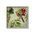 Picture of Tangerine Vintage Bird _GroupedProduct_Square_Canvas_Framed_