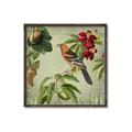 Picture of Tangerine Vintage Bird _GroupedProduct_Square_Canvas_Framed_