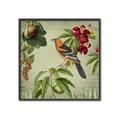 Picture of Tangerine Vintage Bird _GroupedProduct_Square_Canvas_Framed_