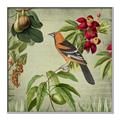 Picture of Tangerine Vintage Bird _GroupedProduct_Square_Canvas_Framed_
