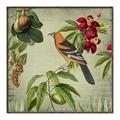 Picture of Tangerine Vintage Bird _GroupedProduct_Square_Canvas_Framed_