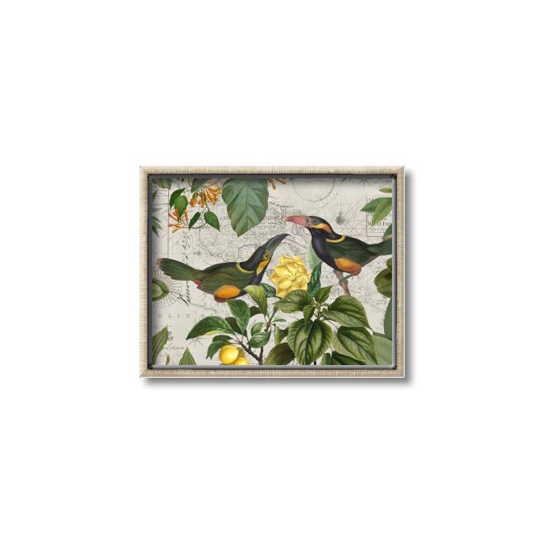 Picture of Parrots Nostalgic Journey 2 _GroupedProduct_Rectangle_Landscape_Canvas_Framed_