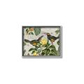 Picture of Parrots Nostalgic Journey 2 _GroupedProduct_Rectangle_Landscape_Canvas_Framed_