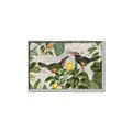 Picture of Parrots Nostalgic Journey 2 _GroupedProduct_Rectangle_Landscape_Canvas_Framed_