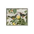 Picture of Parrots Nostalgic Journey 2 _GroupedProduct_Rectangle_Landscape_Canvas_Framed_