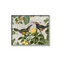 Picture of Parrots Nostalgic Journey 2 _GroupedProduct_Rectangle_Landscape_Canvas_Framed_